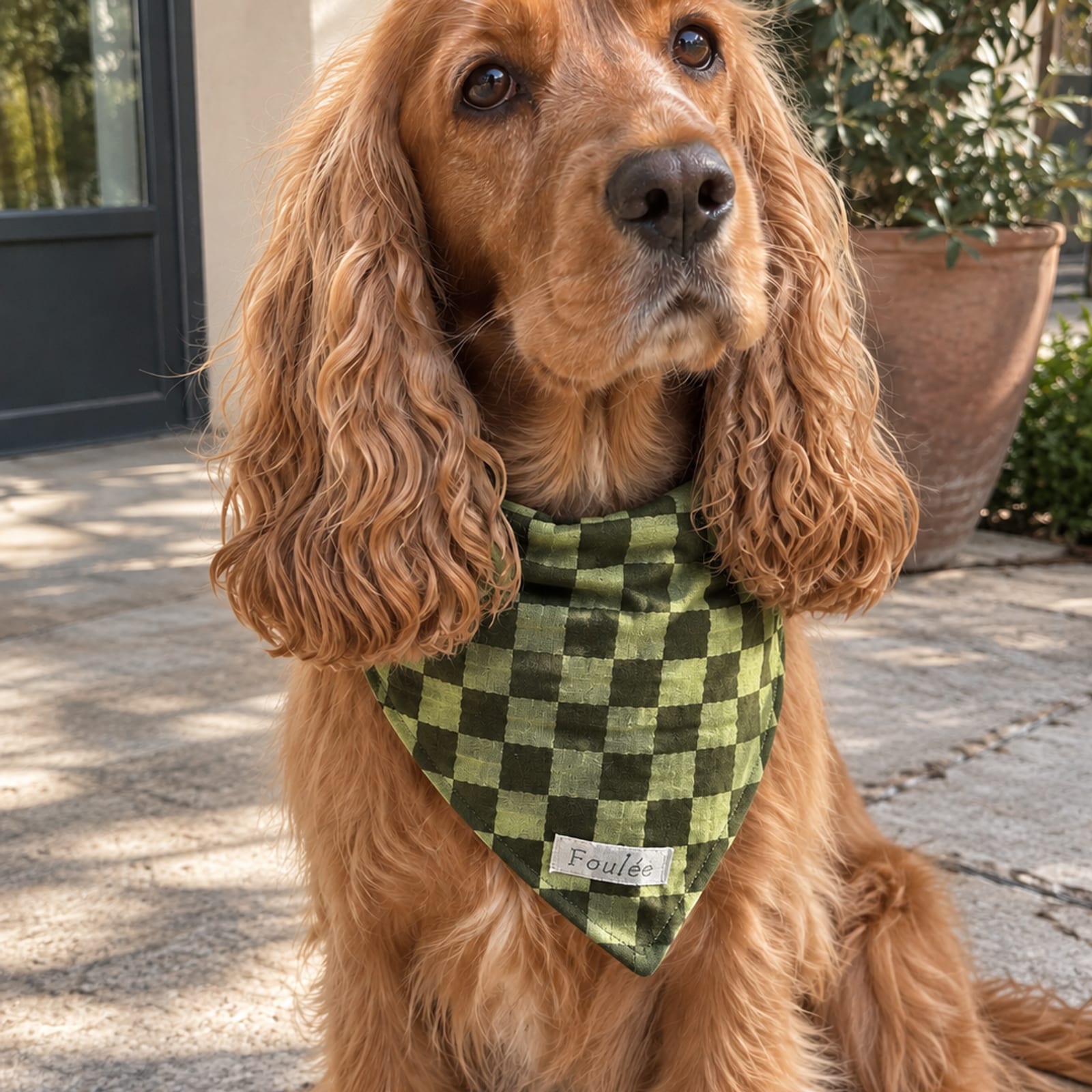 Bandana chien, Gabrielle