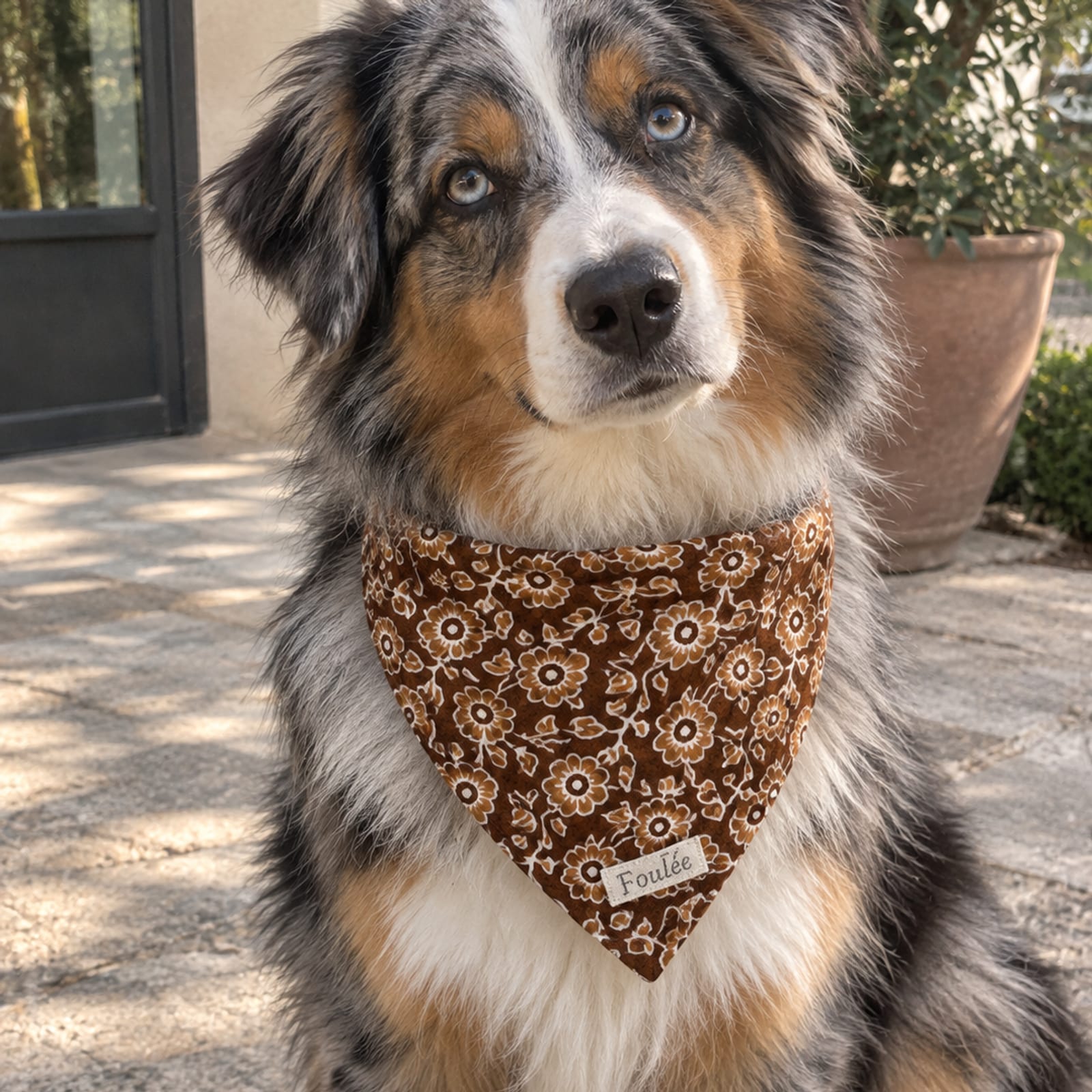 Bandana chien, Honorine